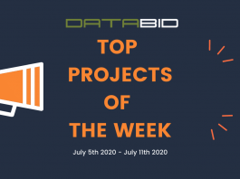 databid top projects