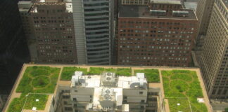 Chicago City Hall green roof