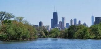 lincoln park north. pond