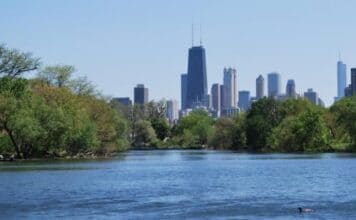 Earthwerks starts work on $7.3 million CPD Lincoln Park North Pond natural area restoration lincoln park north. pond