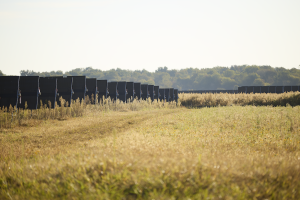 Construction begins on 150-MW Bee Hollow Solar Project in St. Clair County